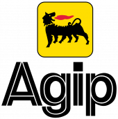 Ulei pentru cutie viteze automata AGIP ATF II D 200L